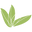 Eeezetopia logo