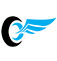 Pandorascourier logo