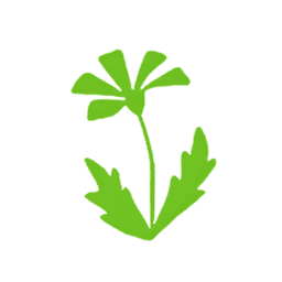 SF Garden Services & Grounds Maintenance logo