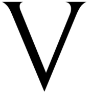 VOIR Bride logo
