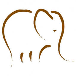 Botswanaspecialists logo