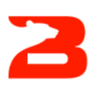 BERN Construction Ltd. | Edmonton Concrete & Framing logo