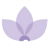 Shelden Healthcare logo