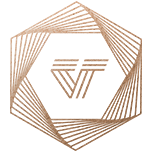 Evisa Express logo