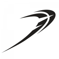 Punch Technology logo