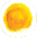 Southwest Myofascial Release logo