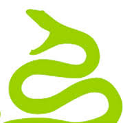 Viper Fitness logo