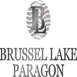 Brussel Lake Paragon logo