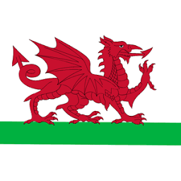 Flat Roofing Wales logo