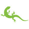Lizard Tech Solutions logo