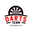 Darts Team logo