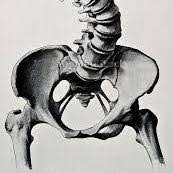 Sacro Wedgy logo