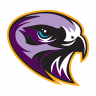 Acstededesign logo