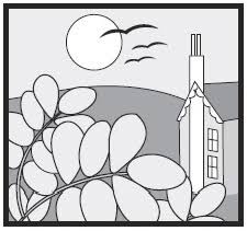Proctors Nursery logo