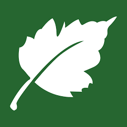 Caledonia Play logo