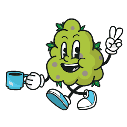 Kushte logo