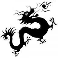 Senseorient logo
