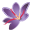 Themadscrapper logo