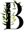Browwin logo