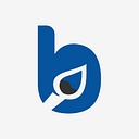 BrushWiz logo