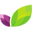 BHGS logo