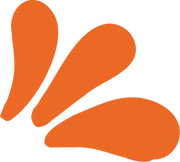 Zing Foods Ltd logo