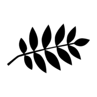 Greencity logo