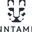 UNTAMD logo