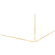 Prosthoworks logo