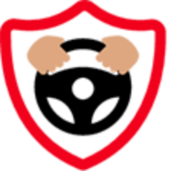 Geo Driving School logo