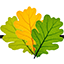 treeservicesomaha.com logo
