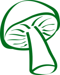 Shroomspy logo