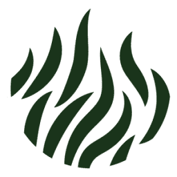 Wild World Safaris logo
