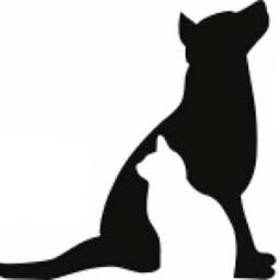 Second Nature Behaviour logo