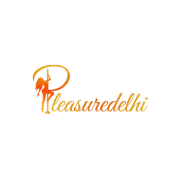 pleasuredelhi.com logo