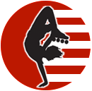 ProSkaters Place logo