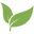 Houseplantparadise logo