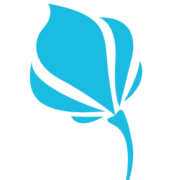 Exceptional Villas logo