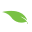 trulyfreehome.com logo