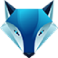 Skyline Building Care logo