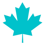 Canadian Board Co. logo
