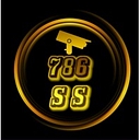 786securitysol.com logo