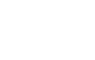 Wall Style logo