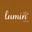 LuminWorks logo