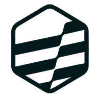 Bluevida International logo