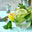 couperocks.co.uk logo