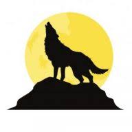 Magistro Consulting logo