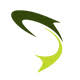 Sportfish logo