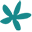 moanavoyages.com logo