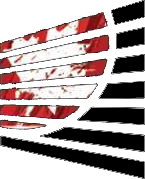 Blindstoronto logo